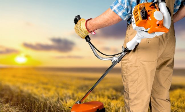 Best Weed Eater Review - sunset