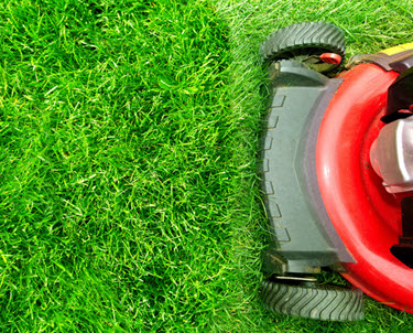 electric lawn mower_mod